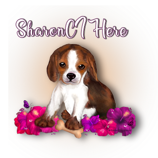 SHARON CL GIFT BOX Sharon10