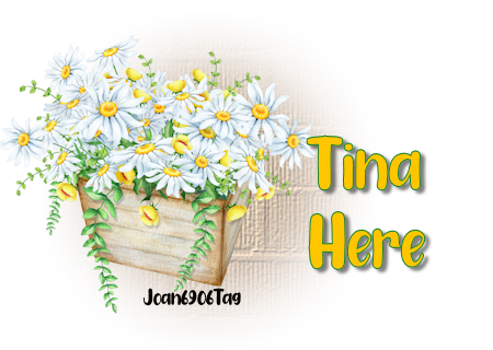 TINA'S GIFT BOX Tina_h10