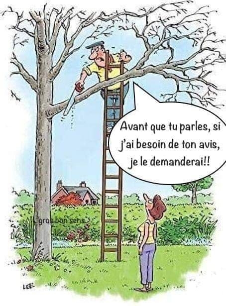 humour - Page 21 12128710