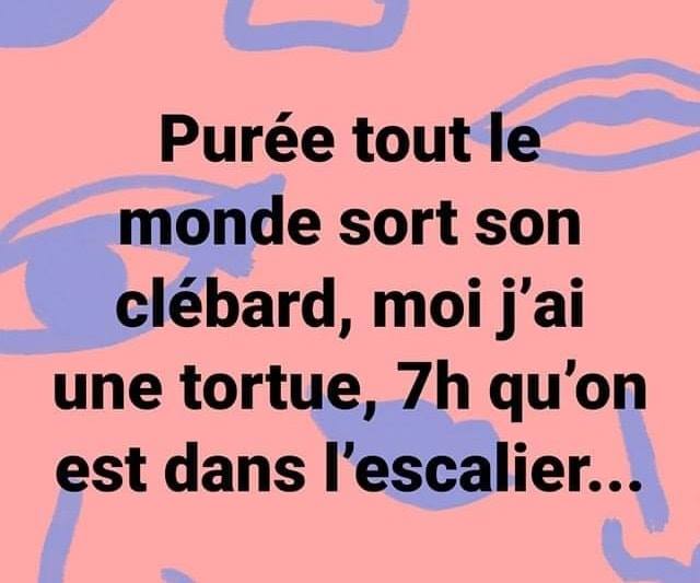 humour - Page 38 90232010