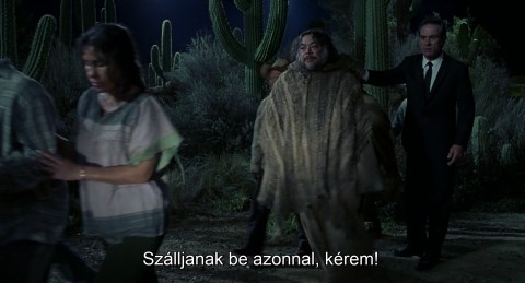 m211.jpg