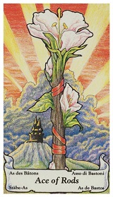 Hanson-Roberts Tarot Tarot213