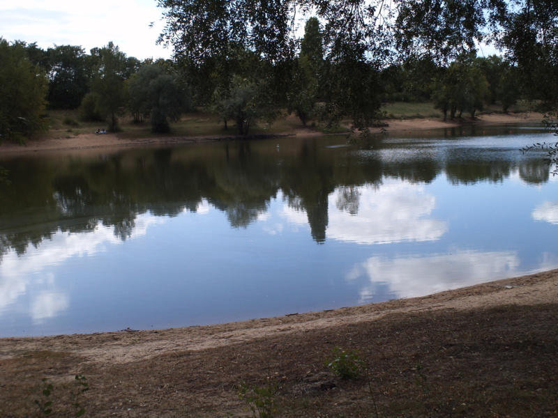 [COMPTE RENDU] Balade sur les bords de Loire avec pique-nique le 1er Septembre Pict1021