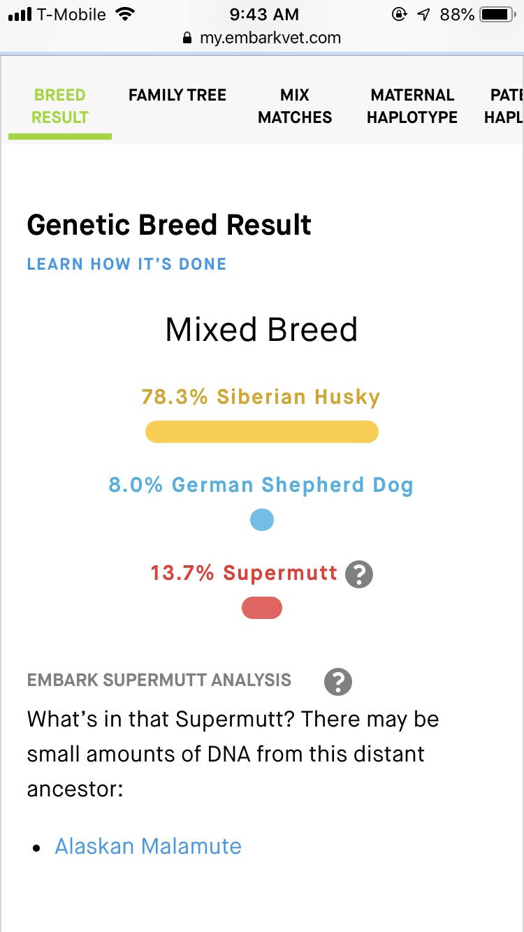 7 Months Old - Update & Weight/Size Question Result10