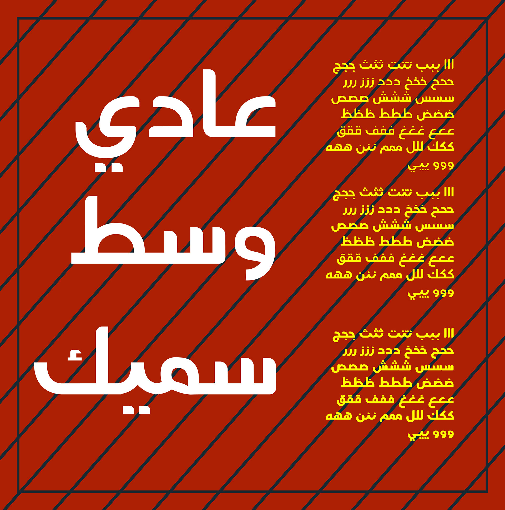 Amin Font Arabic Typeface - خط أمين Amin-f11