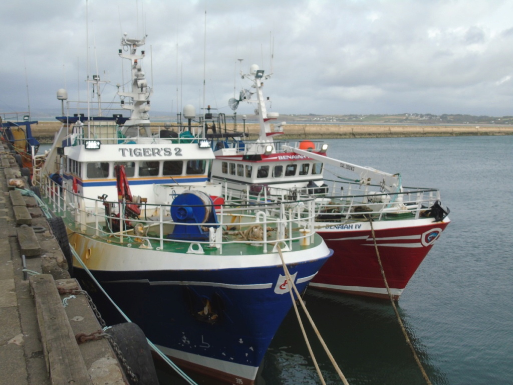 [Vie des ports] LE PORT DE DOUARNENEZ - Page 7 Dsc03210