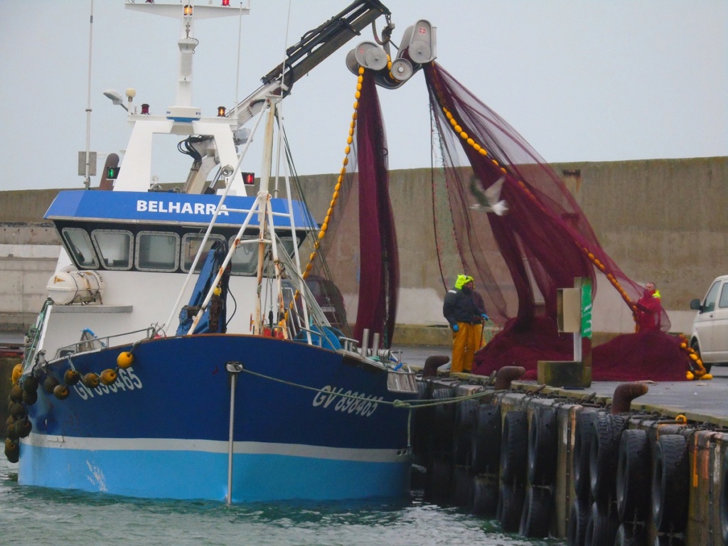 [Vie des ports] Quelques bateaux de pêche (sur nos côtes Françaises) - Page 2 Dsc05218