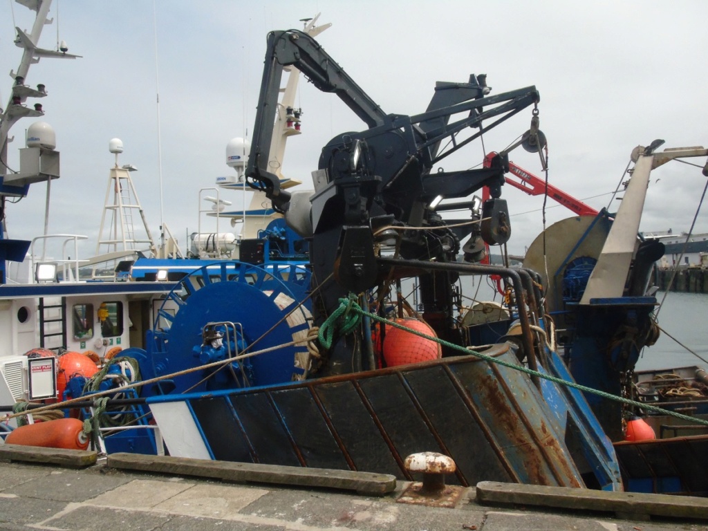 [Vie des ports] LE PORT DE DOUARNENEZ - Page 2 Dsc09815