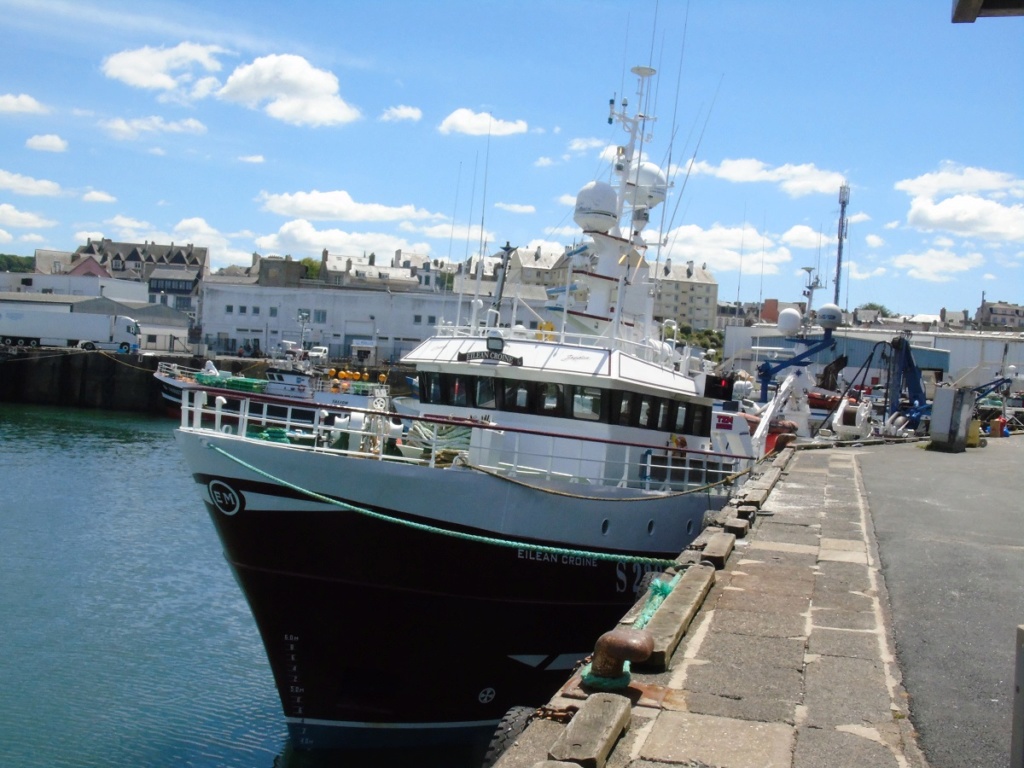 [Vie des ports] LE PORT DE DOUARNENEZ - Page 3 Dz00710