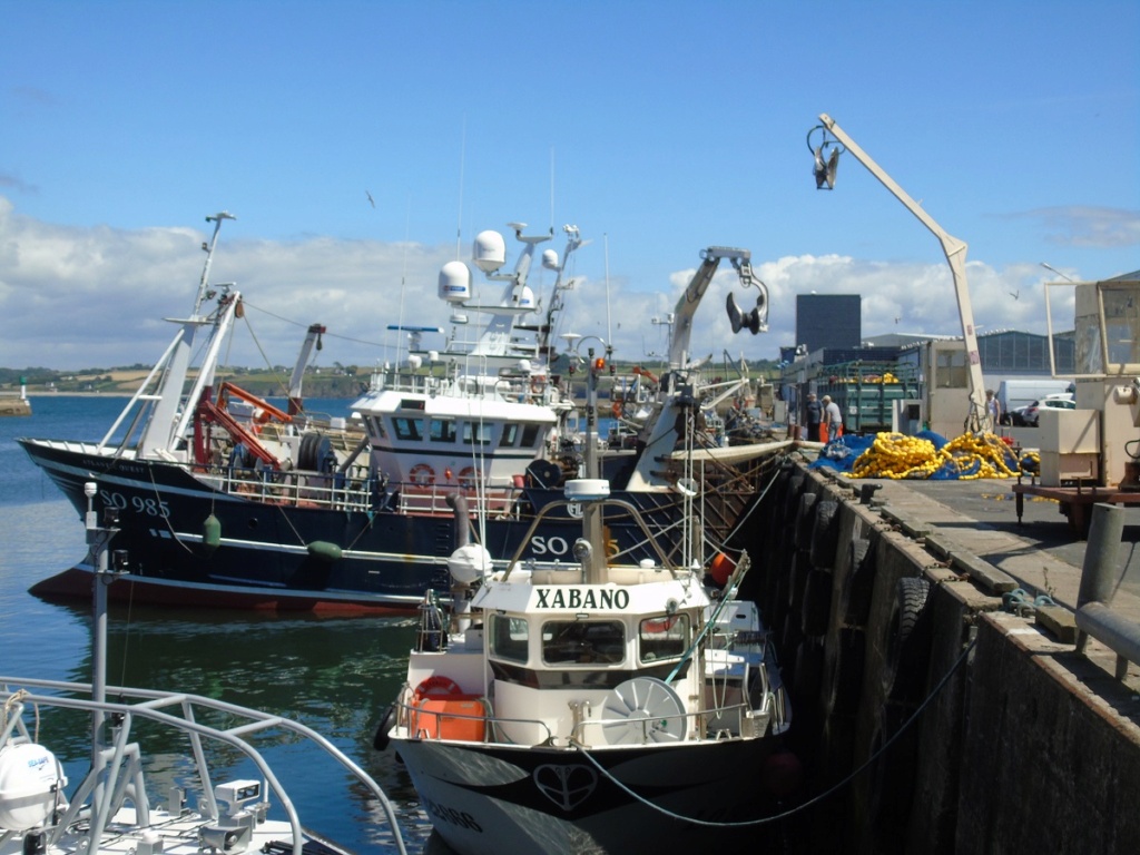 [Vie des ports] LE PORT DE DOUARNENEZ - Page 4 Dz214