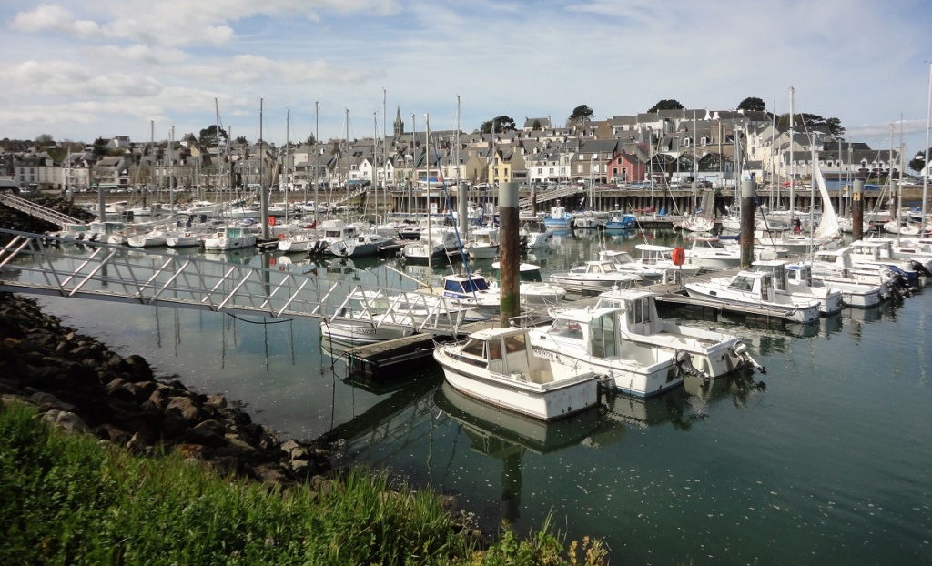 [Vie des ports] LE PORT DE DOUARNENEZ - Page 23 Z5dsc010