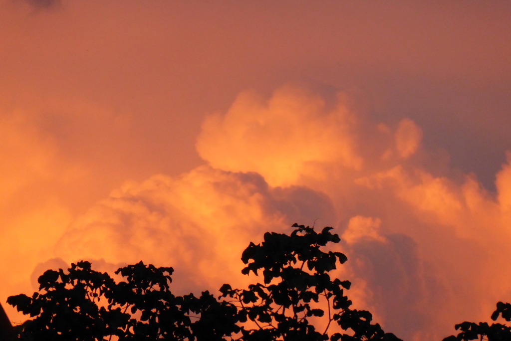 Wolkenstimmung bei Sonnenuntergang P1020315