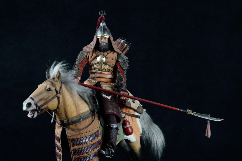 Un cavalier Mongol Dsc05149