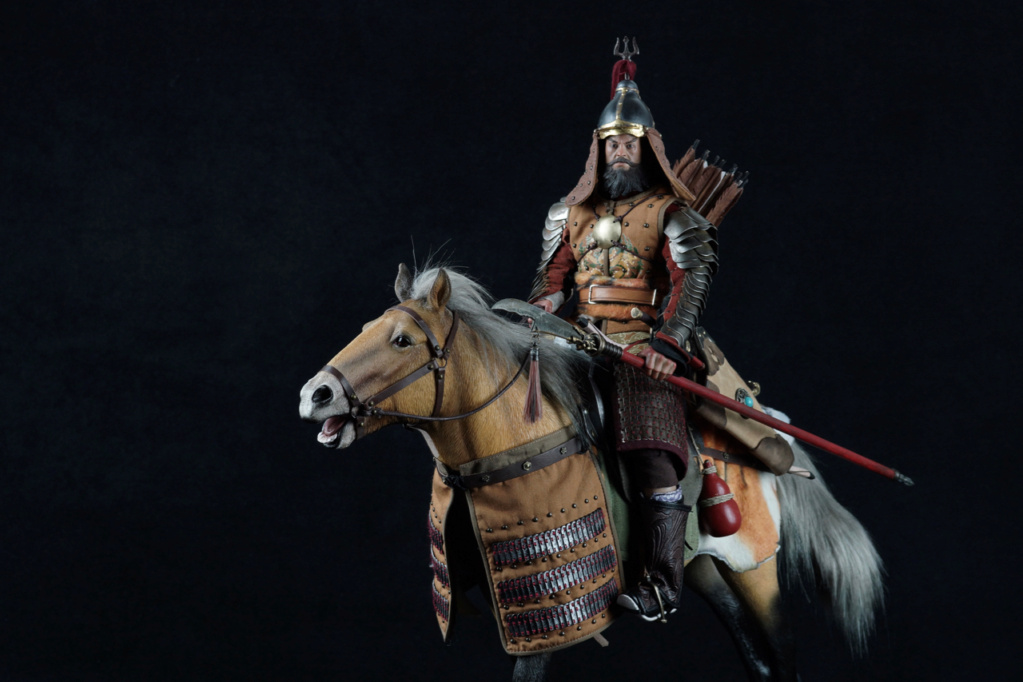 Un cavalier Mongol Dsc05150