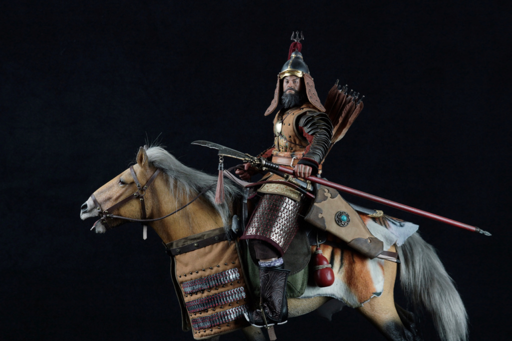 Un cavalier Mongol Dsc05151