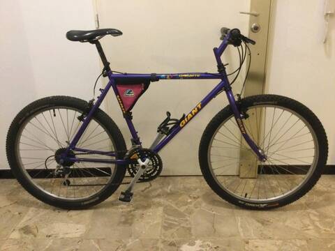 Giant granite bike sale
