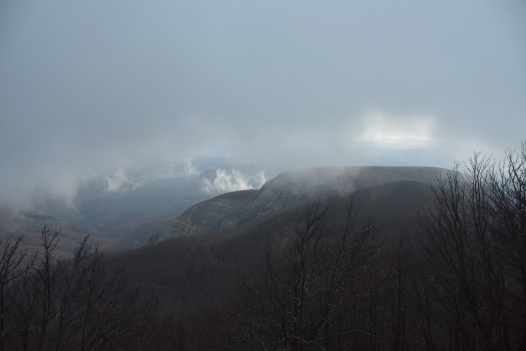 Escursione dalla Burraia al Monte Falco (Parco Nazionale Foreste Casentinesi) Dsc_0220