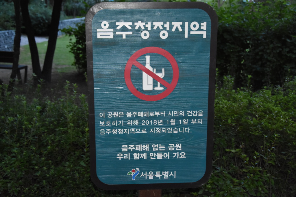 A piedi nudi nel Parco..... a Seoul (2) Dsc_0427