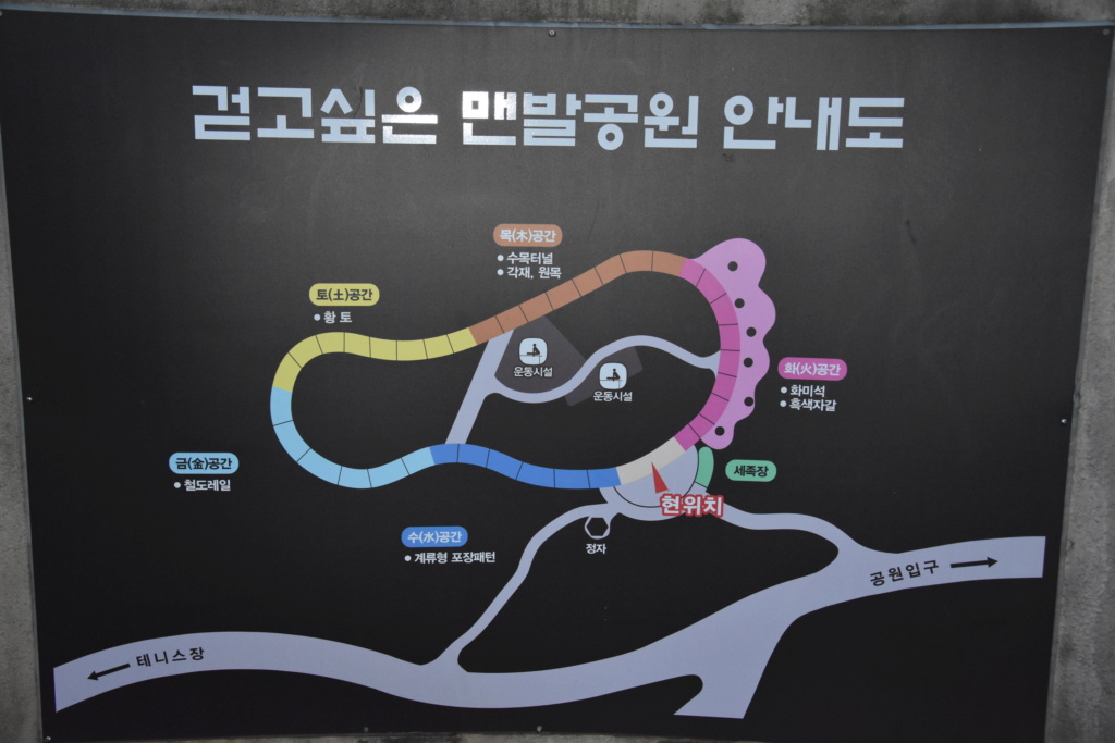 A piedi nudi nel Parco..... a Seoul (2) Dsc_0429