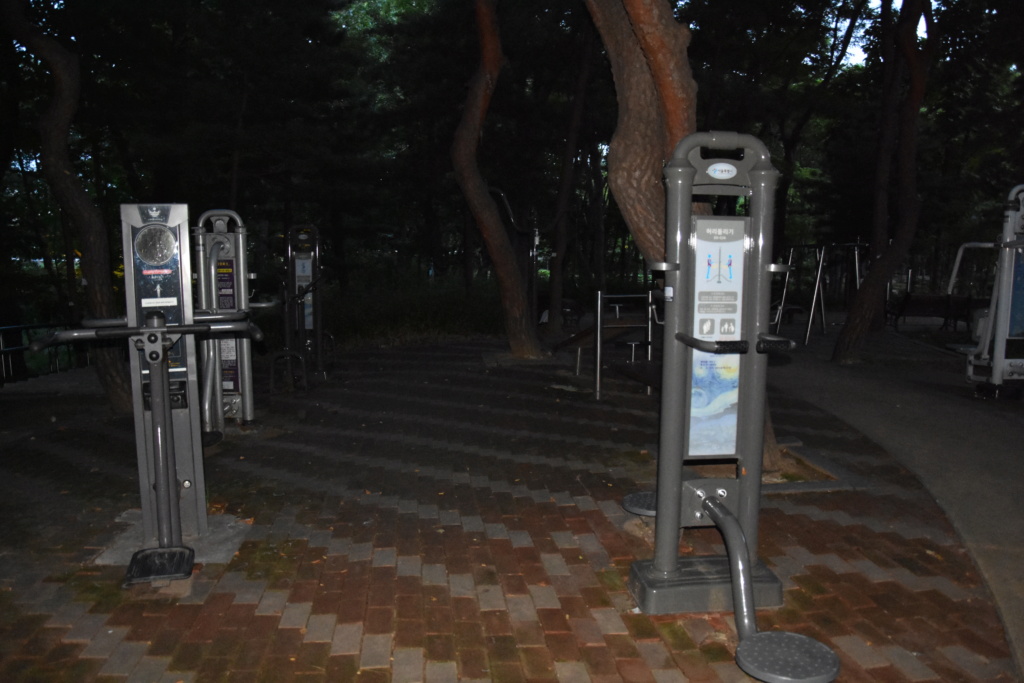 A piedi nudi nel Parco..... a Seoul (2) Dsc_0433