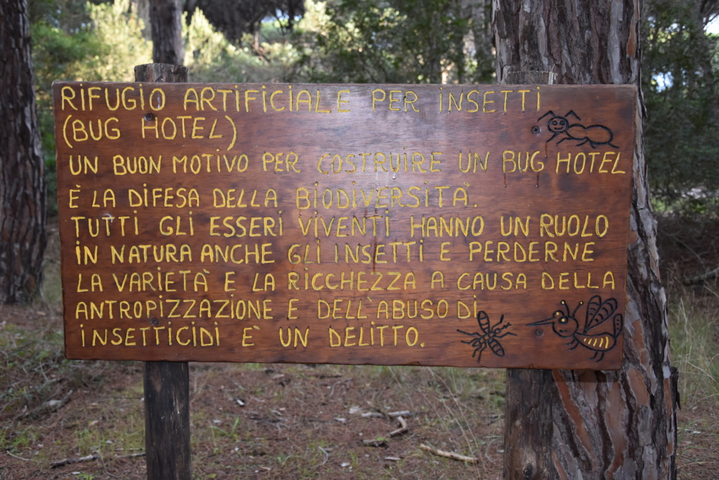 Escursione alla Riserva della Duna Feniglia (Porto Ercole - Argentario) Dsc_0527