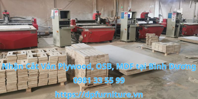 Cơ sở cắt ván plywood, osb, mdf chất lượng ở bình dương Co-so-21