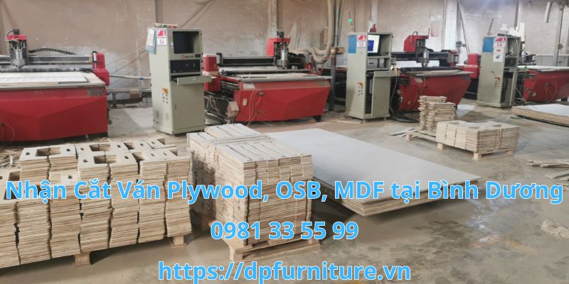 Cơ sở cắt ván plywood, osb, mdf chất lượng ở Bình Dương Co-so-21