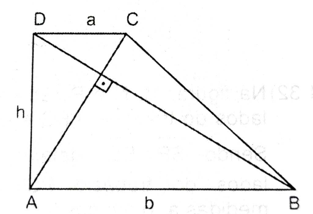 Trapézios e diagonais Aref_t10