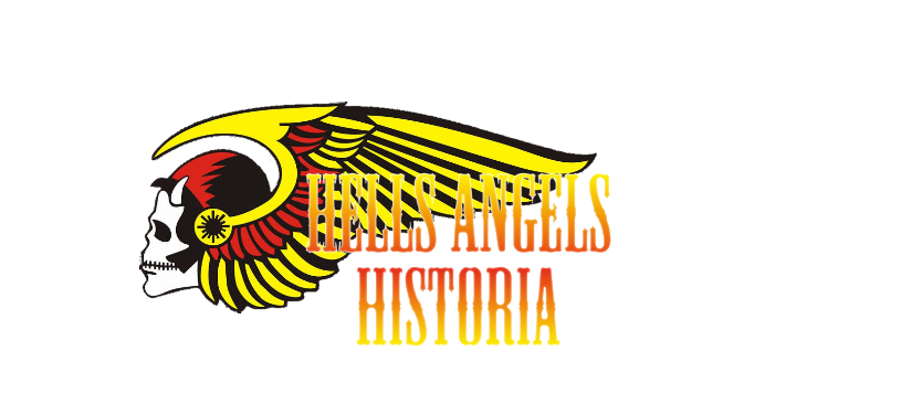 MANUAL HELL ANGELS 311