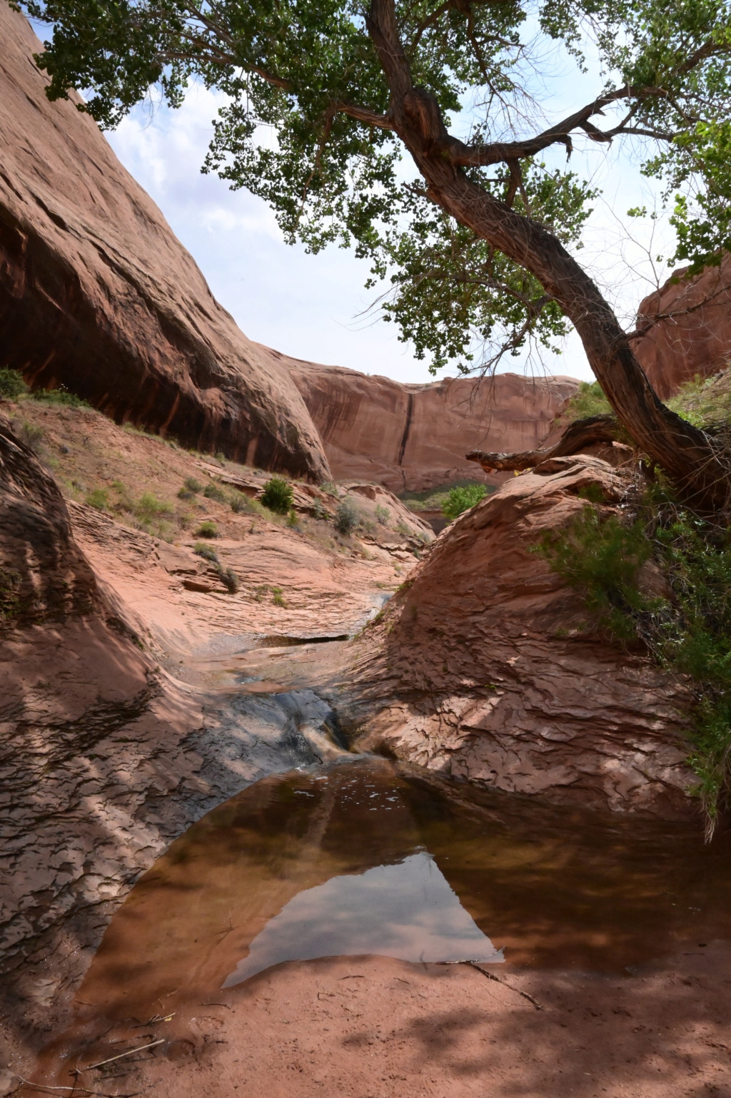 Moab, Escalante, Kanab : triangle magique dans l'Utah Dsc_3117