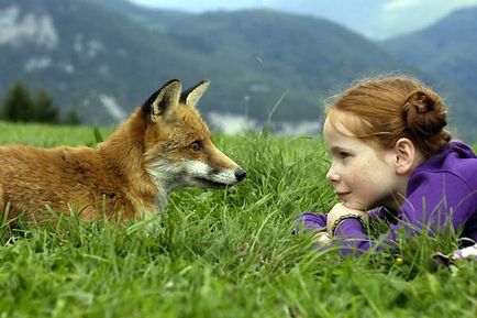 Le Renard et l'enfant Le_r_e10