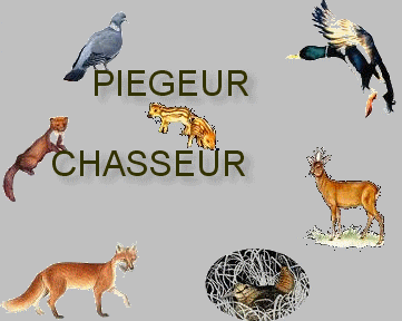 Pigeage et chasse