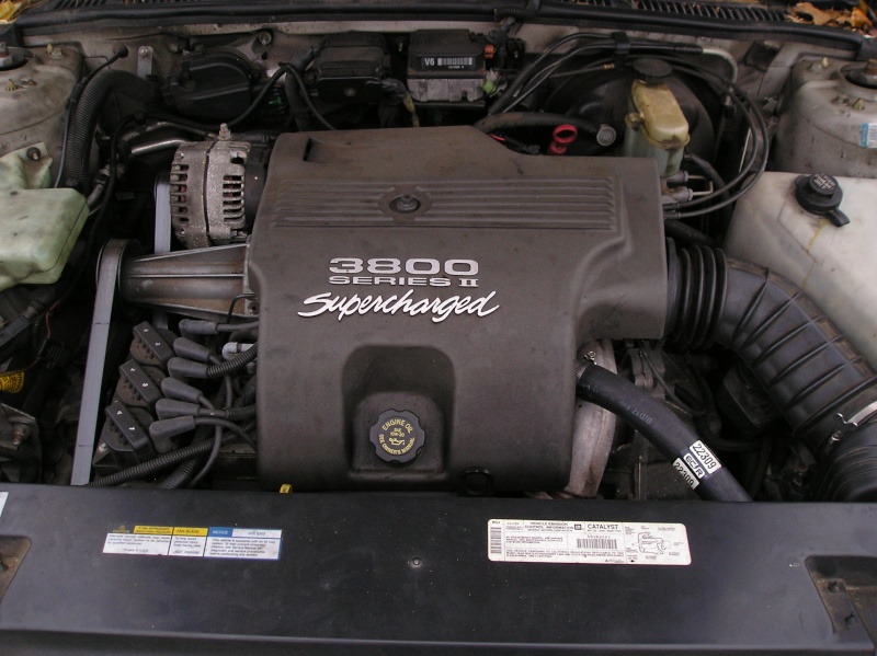FAQ: Degreasing Engine & Cleaning Under The Hood P1010013