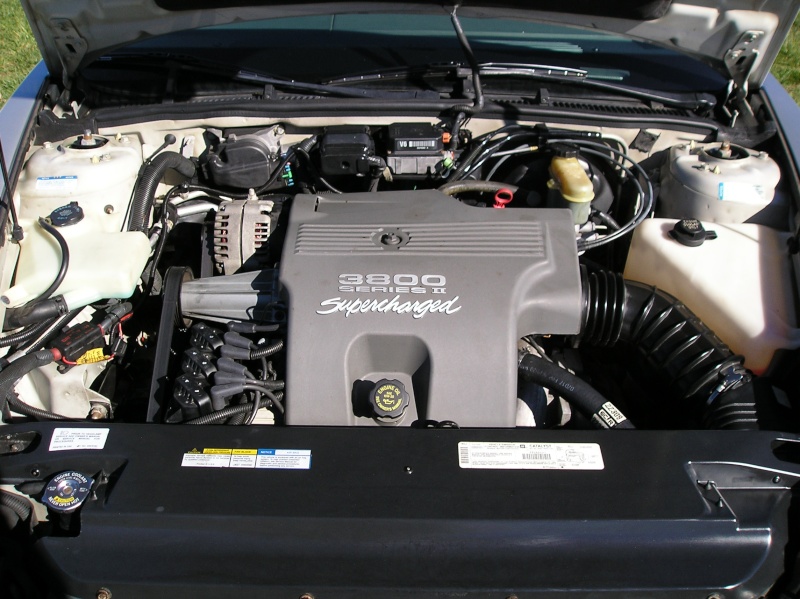 FAQ: Degreasing Engine & Cleaning Under The Hood P1010014