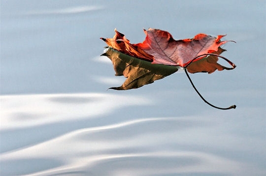 L'eau, miroir des beauts naturelles 5764610