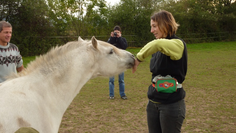 clicker - Rencontres clicker-training pour s'amuser ensemble... - Page 4 10_10_14