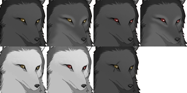 loup - [Faceset] loup gris Wolf-f11
