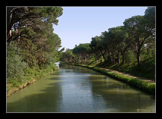 Le canal du Midi. Paraso10