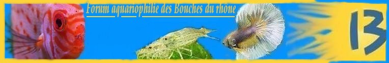 aquariophilie bouche du rhone