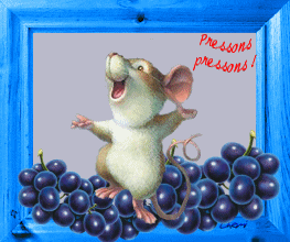 Rats/ souris - Page 2 Cadrl510