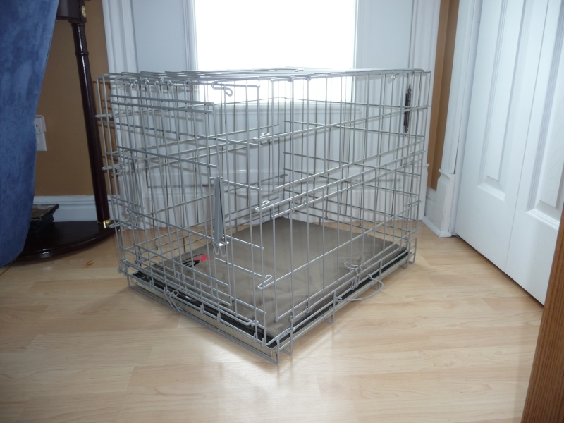 Cage pour chien  vendre 17-04-10