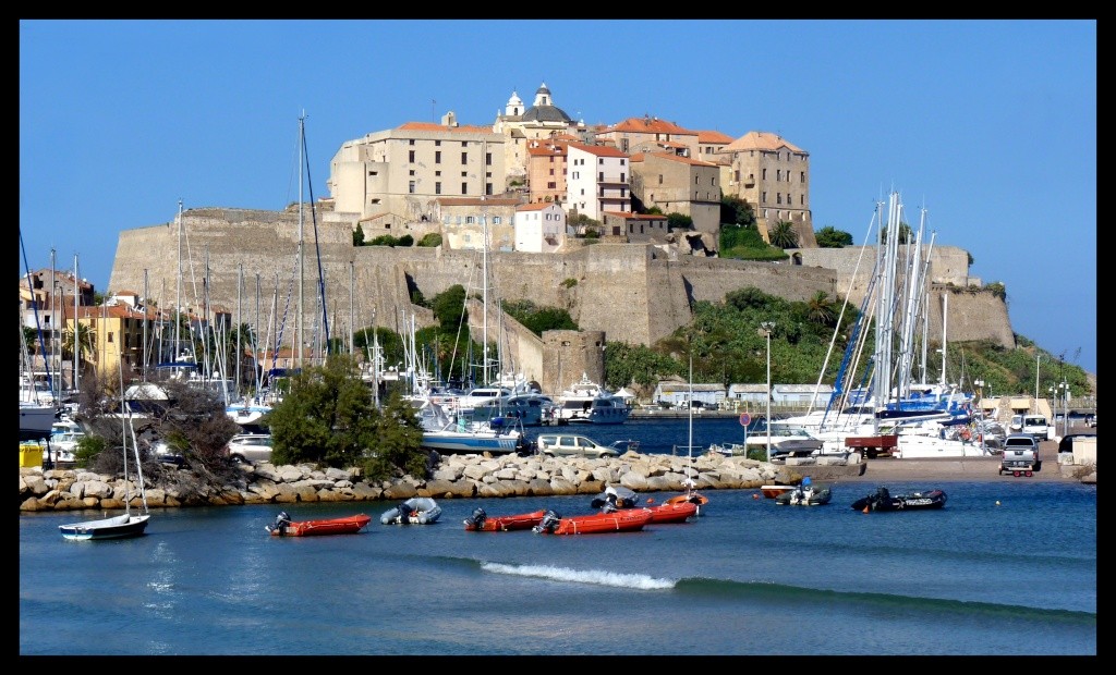 Calvi - Sainte-Catherine 2010 - Page 3 P1190911