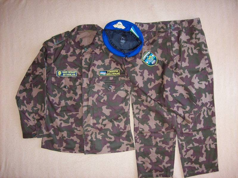 Types of Camo uniform for the Ministry of Defense 100_6710