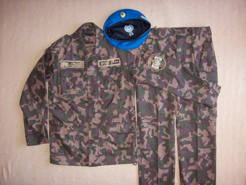 Types of Camo uniform for the Ministry of Defense 100_6714