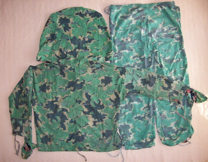 Some Czech camo 100_8125