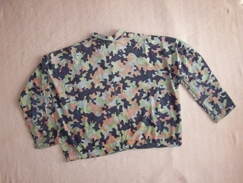 Some Czech camo 100_8127