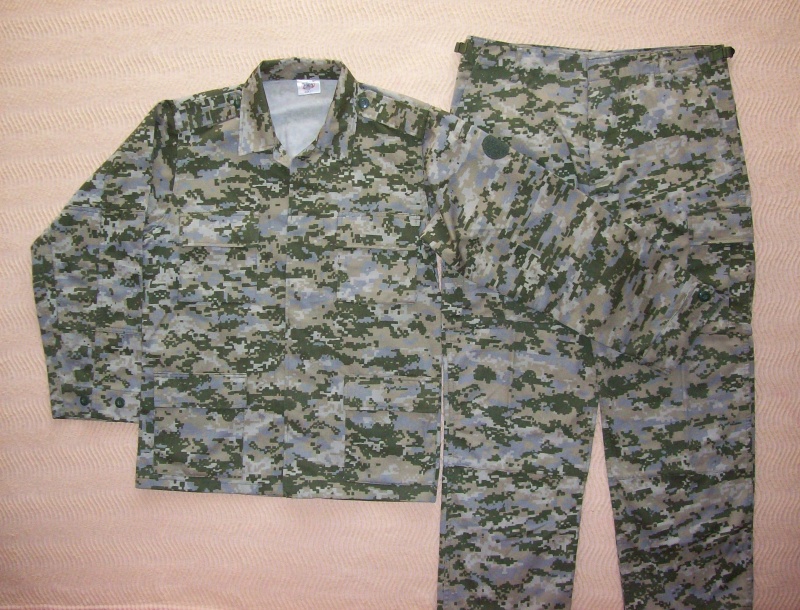 camouflage 100_8423