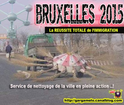 ActuScientifique de dernière minute! Bruxel10