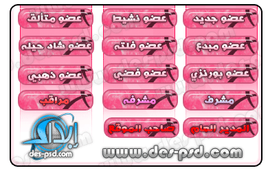 مراقب مراقب