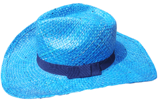 Fashion man's grass hats Blw08010